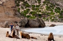 Kangaroo Island Scenic Nature and Wildlife Day Tour 