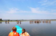 1 Day trip to Hells Gate and Lake Naivasha From Nairobi