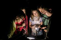 All-Inclusive Jungle Night Tour