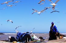 From Marrakech : 1-Day Group Trip To Essaouira