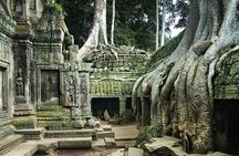 Angkor Wat, Angkor Thom Ancient Capital, Ta Promh Temple 