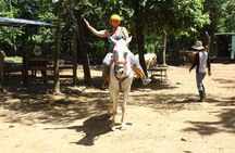 Horseback Riding Jungle and Beach in Playa Flamingo