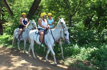 Horseback Riding Jungle and Beach in Playa Flamingo