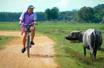 Koh Yao Noi Full Day Tour with Bike Ride & Lunch