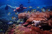 Snorkeling Day Trip To Lembongan and Penida