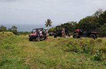 Jungle Bikes Dune Buggy & Beach Tours in St Kitts