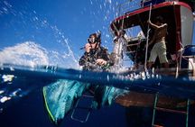 PADI Discover Scuba Diving Experience Full Day Trip