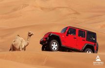 Jeep Desert Super Safari, Quad Bike, Camel Ride, Star Watching & Bedouin Dinner 