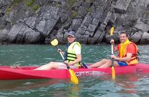 Halong Bay and Lan Ha Bay from Cat Ba Island: Cruise and Kayak Tour