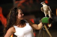 Abu Dhabi: Desert Safari with Dune Bashing, SandBoarding & BBQ