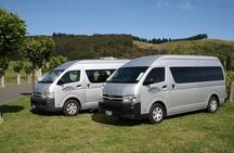 Half Day Small-Group Hawkes Bay Wine Tour