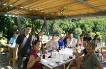 Wine & more Tour , private guided wine tour from ROVINJ & PULA to wine cellars