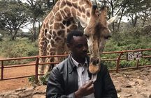 Giraffe Center Half-Day Trip from Nairobi