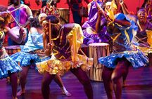 Safari Park Hotel Cat Dance and Dinner Experience