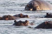 Sunset Cruise & Guided Falls Tour Combo