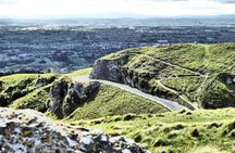 Half Day Small-Group Hawkes Bay Wine Tour