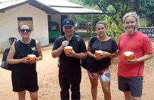 Sigiriya Rock and Dambulla Cave Temple all inclusive Private Day Trip