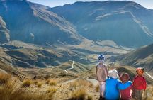 Full-day Cachi and Los Cardones National Park from Salta