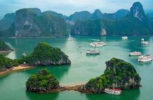 Halong Bay and Lan Ha Bay from Cat Ba Island: Cruise and Kayak Tour