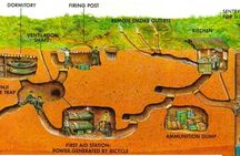 Small-Group Cu Chi Tunnel Half-day Tour: Morning or Afternoon