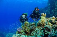 Full-Day Beginner Scuba Course with Private Tuition, Racha Yai