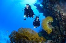 Full-Day Beginner Scuba Course with Private Tuition, Racha Yai