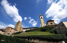 Chianti Wine and Vinci half day Small Group Tour from Lucca