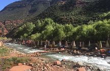  Full day tour Ourika Valley And Atlas Mountains 