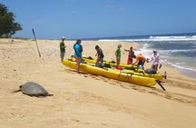 Kauai Sea Kayaking 10 mile tour - Na Pali Iki (Polihale to Milolii)
