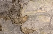 Caving tour ( stalactites-stalagmites) & hiking at national park 