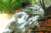 Krabi Emerald Pool, Hot Spring and Tiger Temple