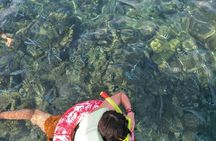 Koh Samui Snorkeling and Kayaking