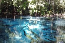 Krabi Emerald Pool, Hot Spring and Tiger Temple