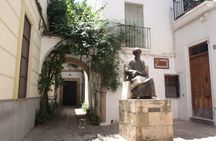 Cordoba Relax Tour in English Tickets included