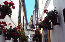 Cordoba Relax Tour in English Tickets included