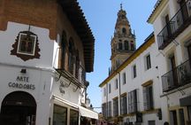 Cordoba Relax Tour in English Tickets included