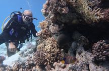 Hurghada Daily Scuba Dive Trip