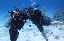 Hurghada Daily Scuba Dive Trip