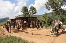 3 Days Gorilla trekking tour