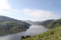 3 Days Gorilla trekking tour
