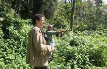 3 Days Gorilla trekking tour