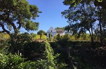 Full-Day Stellenbosch, Franschhoek and Paarl Wine Tasting Tour from Cape Town
