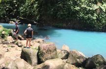 Wild Life And Horseback Riding Through The Rain Forest