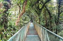 Monteverde Hanging Bridges Day Trip from San Jose