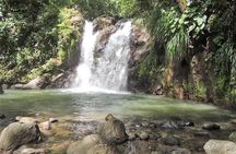 North Island Tour And Martinique Best Secret