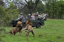 Cape Town South Africa, 2 Days Overnight Safari Tour Game Reserve 
