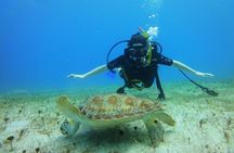 Discover Scuba Diving with No Certification in St Thomas 