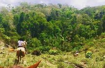 Horseback Ride to the Forgotten Jungle City