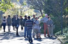 Cape Town Walking Experience & Nelson Mandela Legacy Exhibition 