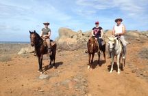 Aruba Private, 2 Hour Horseback Riding Tour For Advanced Riders